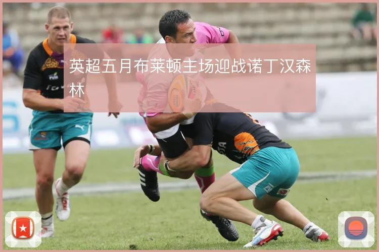 英超五月布莱顿主场迎战诺丁汉森林