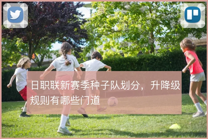 日职联新赛季种子队划分，升降级规则有哪些门道
