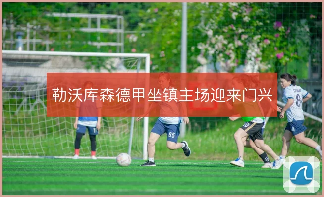 勒沃库森德甲坐镇主场迎来门兴