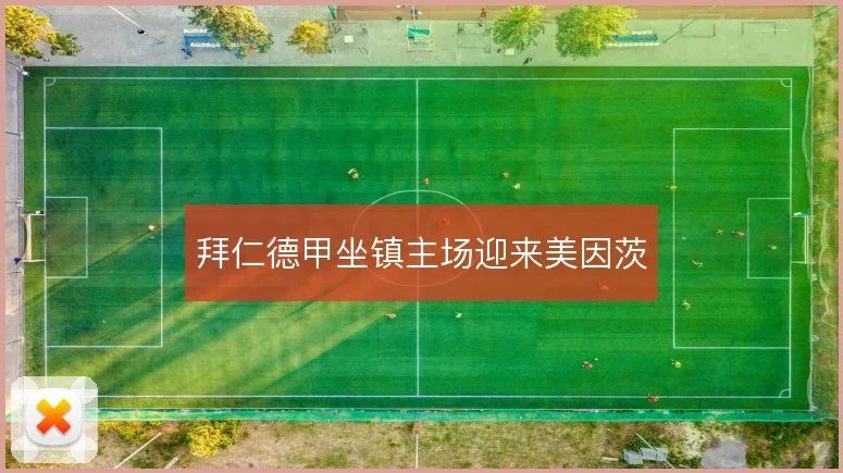 拜仁德甲坐镇主场迎来美因茨